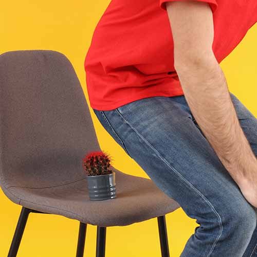 Man sit down on a chair with a cactus. Hemorrhoids concept